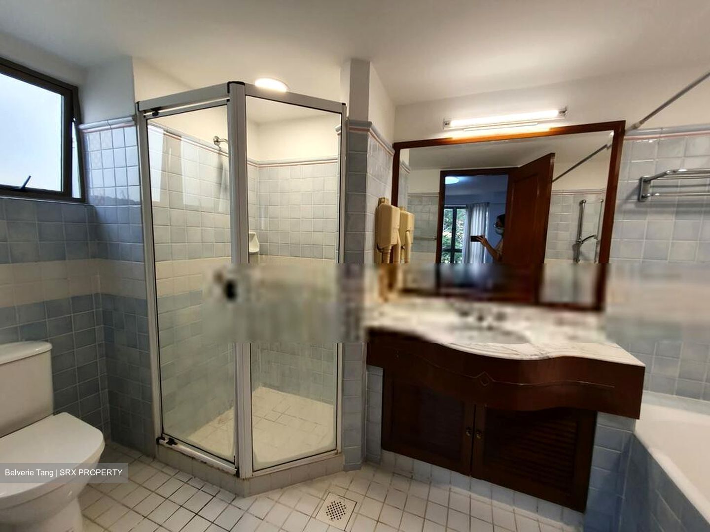 Cavenagh Lodge (D9), Apartment #412417041